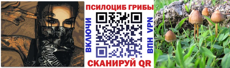 Галлюциногенные грибы MAGIC MUSHROOMS  Избербаш 