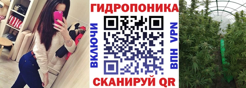 как найти наркотики  Избербаш  Бошки марихуана Amnesia 